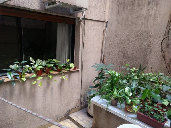 Permuta! 5 Amb Esmeralda y Santa Fe Patio Jardín de 100 m² Quincho y Parrilla